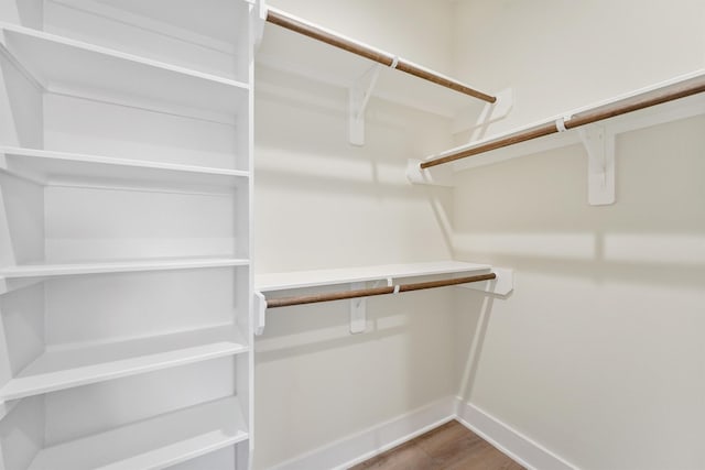 spacious closet featuring wood finished floors