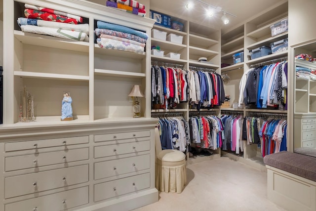 spacious closet featuring carpet flooring