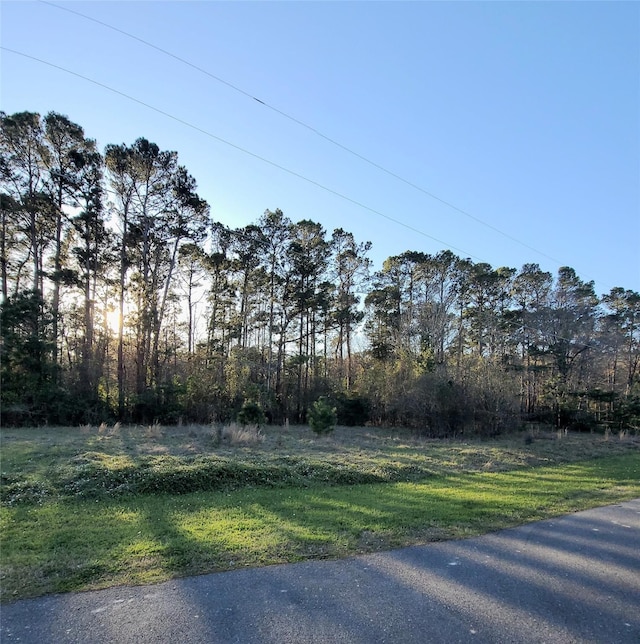 Listing photo 2 for TBD Hickory Ridge Dr, Coldspring TX 77331