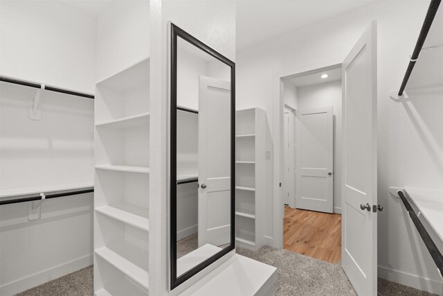 16174 Rustling Woods Rd, Conroe, TX 77302 - view of walk in closet