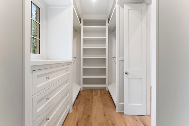 spacious closet featuring light wood-style floors