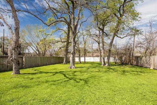 view of yard with a fenced backyard