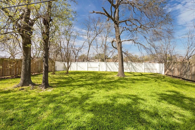 view of yard featuring a fenced backyard