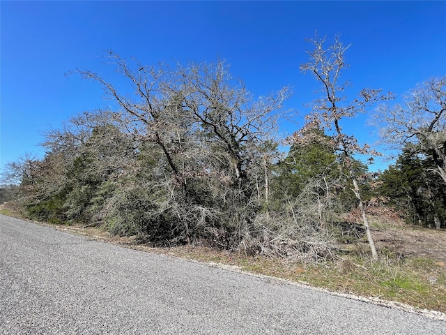 Listing photo 3 for Lots354 Navaho, Smithville TX 78957