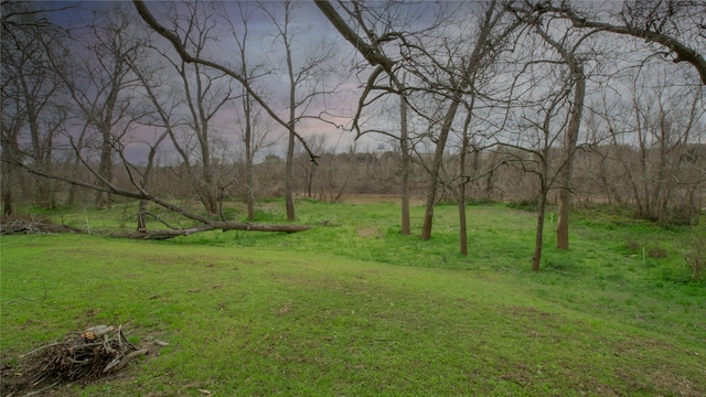 602 Riveredge Dr, Richmond, TX 77406 - view of yard