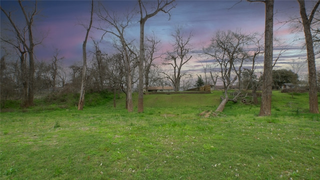 602 Riveredge Dr, Richmond, TX 77406 - view of yard