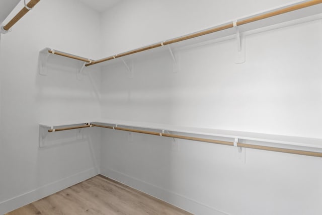 walk in closet with light wood-type flooring