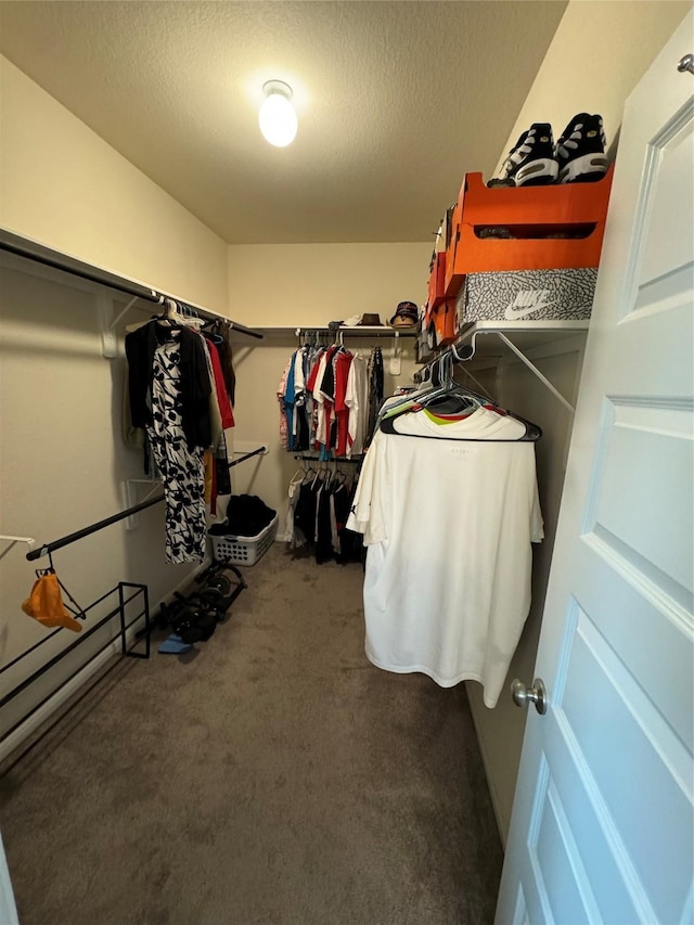 spacious closet featuring carpet