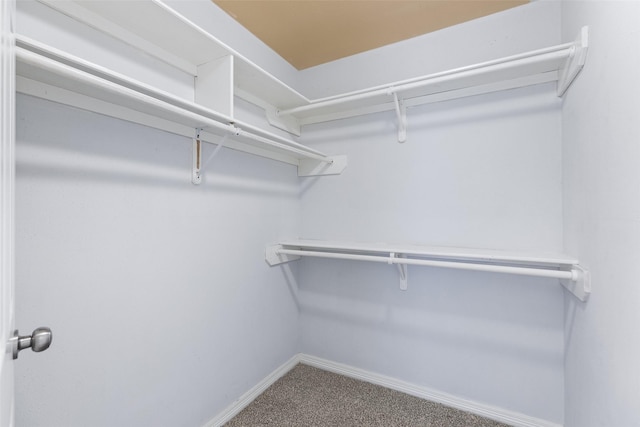 walk in closet featuring carpet floors