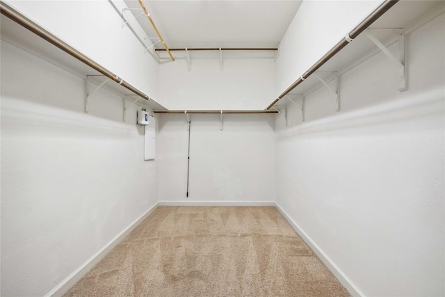 walk in closet with light colored carpet