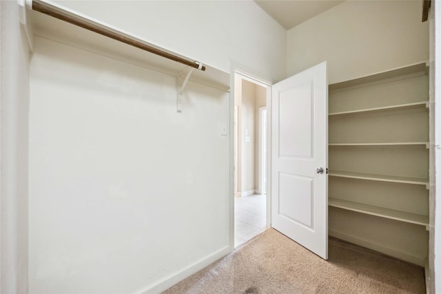 walk in closet with carpet flooring