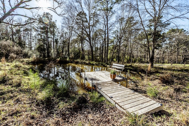 view of home's community featuring a forest view, a dock, and a water view