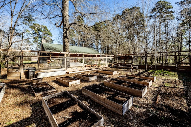 view of yard with a garden