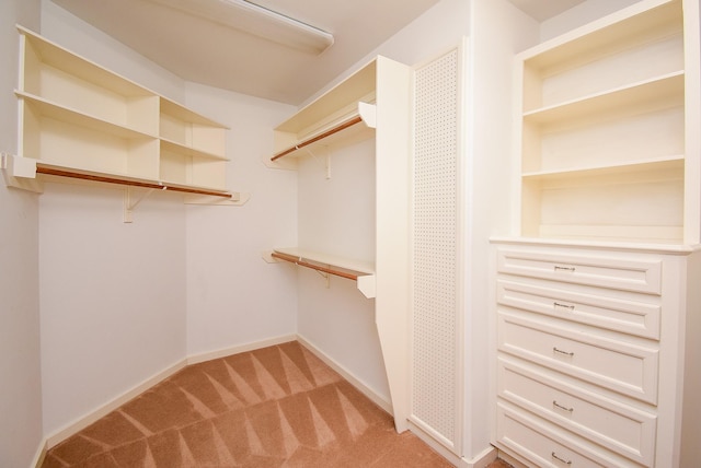 walk in closet with light carpet