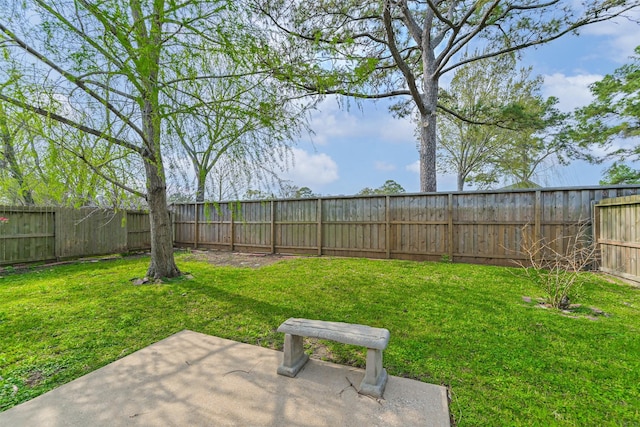 view of yard featuring a patio and a fenced backyard