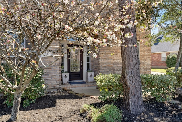 entrance to property featuring brick siding