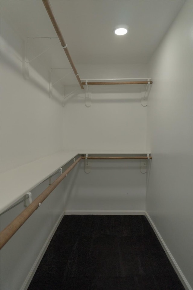 walk in closet with carpet