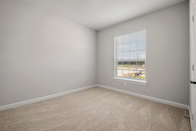 spare room featuring baseboards and carpet flooring