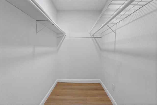 walk in closet with light wood finished floors