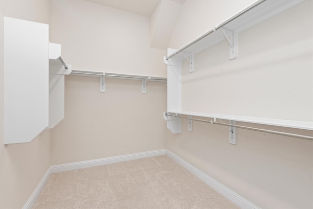 spacious closet featuring carpet flooring