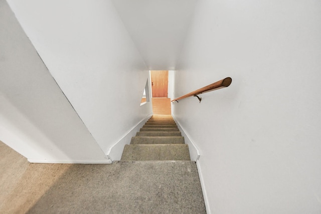 staircase featuring carpet flooring