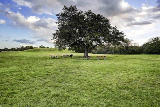 view of community featuring a yard