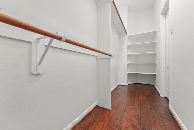 spacious closet with wood-type flooring