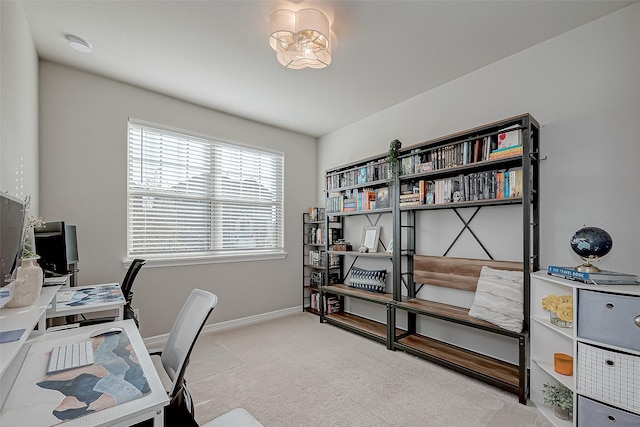 office area featuring baseboards and carpet flooring