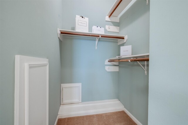 spacious closet featuring carpet