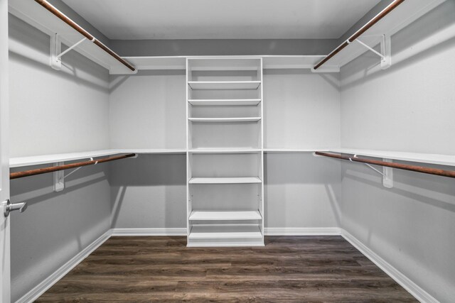 spacious closet with dark wood-type flooring