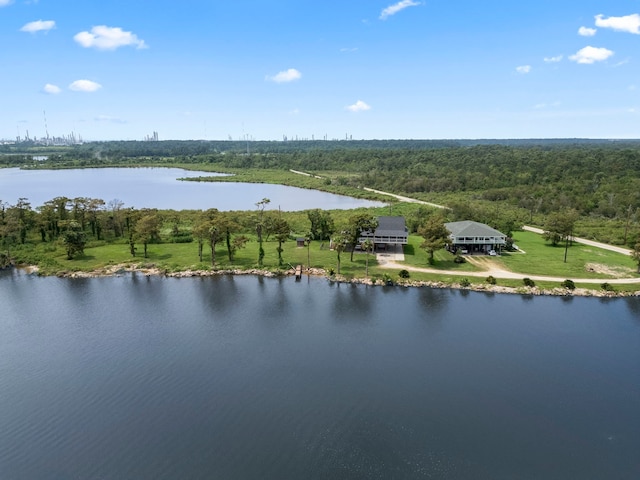 birds eye view of property with a water view and a view of trees