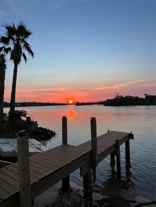 dock area with a water view