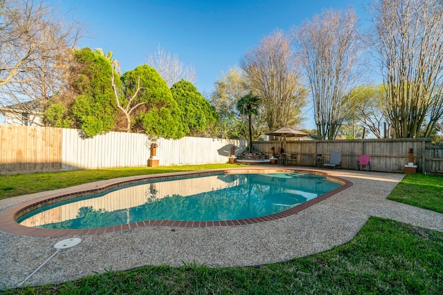 view of pool featuring a fenced in pool and a fenced backyard