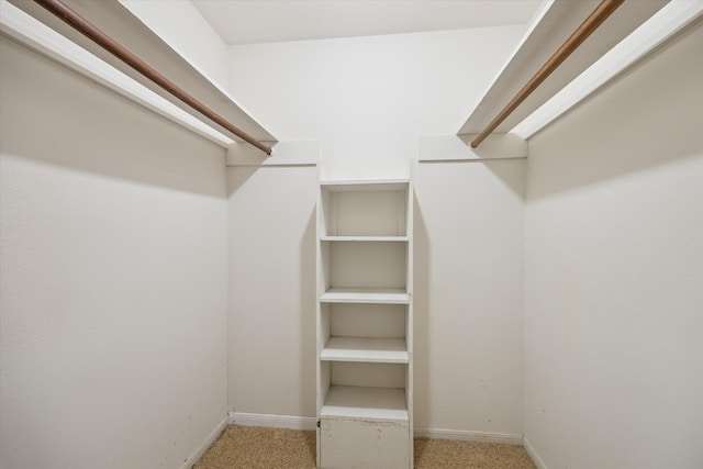 walk in closet featuring carpet flooring