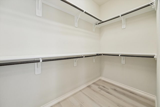 walk in closet featuring light wood-style floors