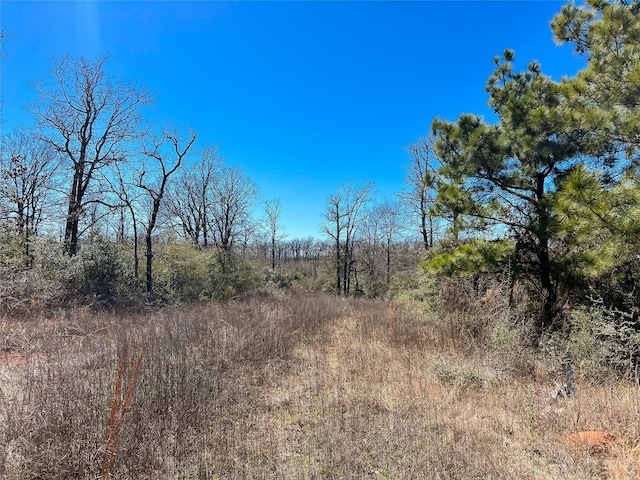 Listing photo 3 for na Cr 392, Jewett TX 75846