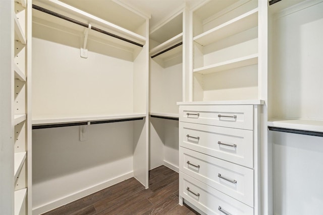 spacious closet featuring dark wood-style floors