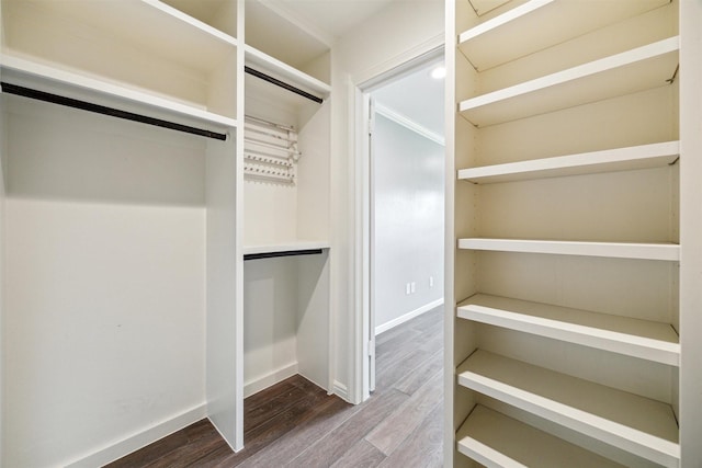 walk in closet featuring wood finished floors