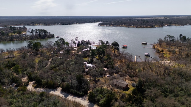 birds eye view of property with a water view and a view of trees