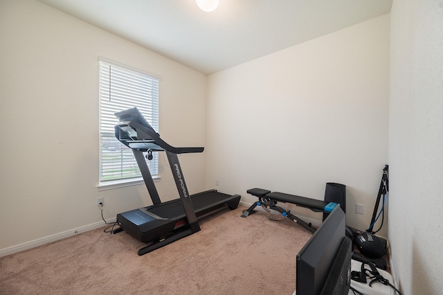 workout area featuring baseboards and carpet flooring