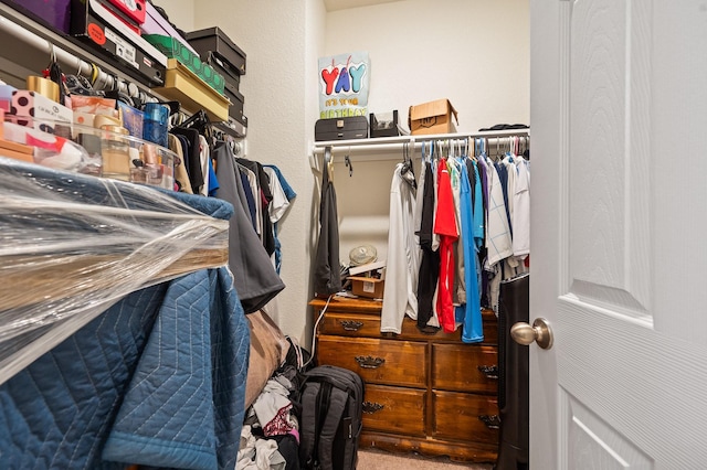 view of walk in closet