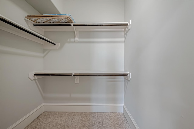 view of walk in closet