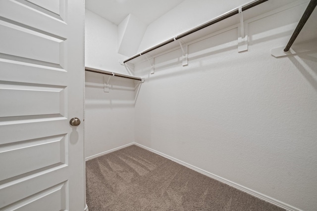 walk in closet featuring carpet