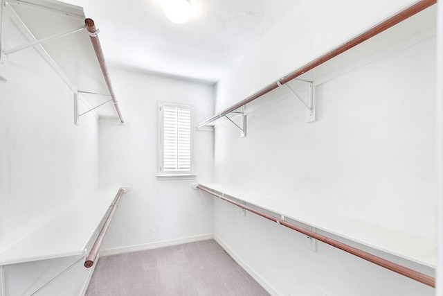 spacious closet with light carpet