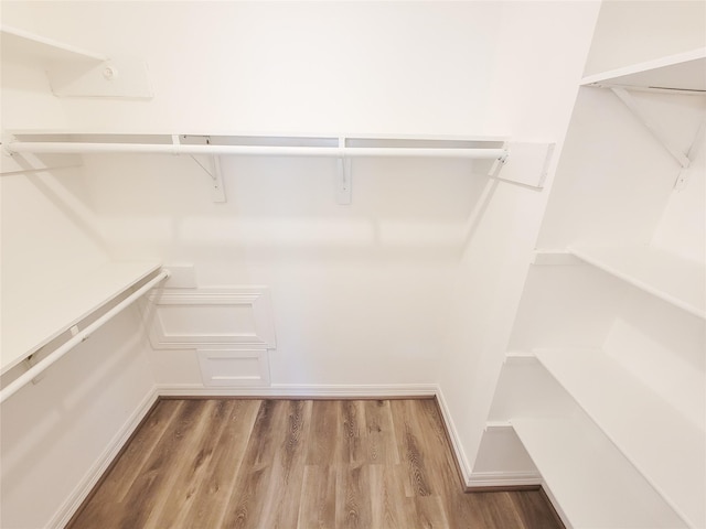 walk in closet featuring wood finished floors