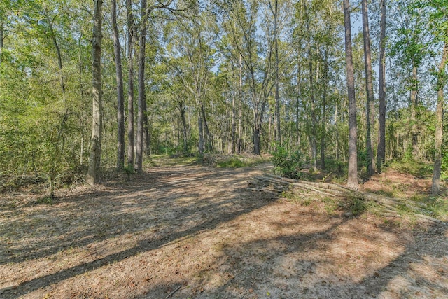 view of landscape featuring a wooded view