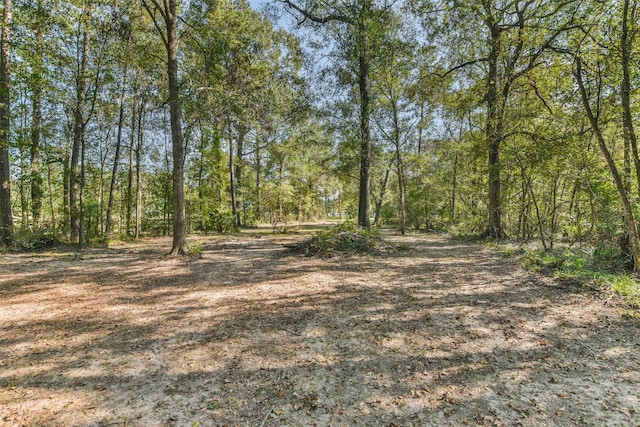 view of nature featuring a forest view