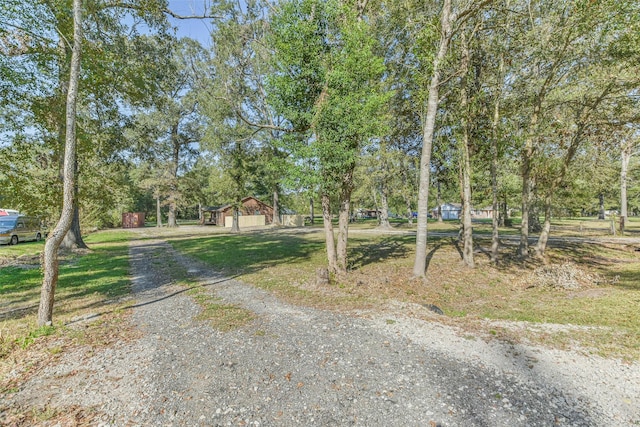 view of road with driveway