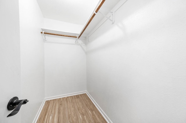 spacious closet featuring wood finished floors