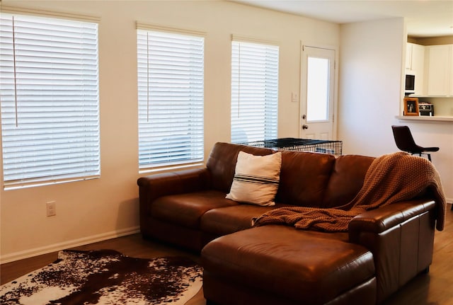 living room with baseboards and wood finished floors